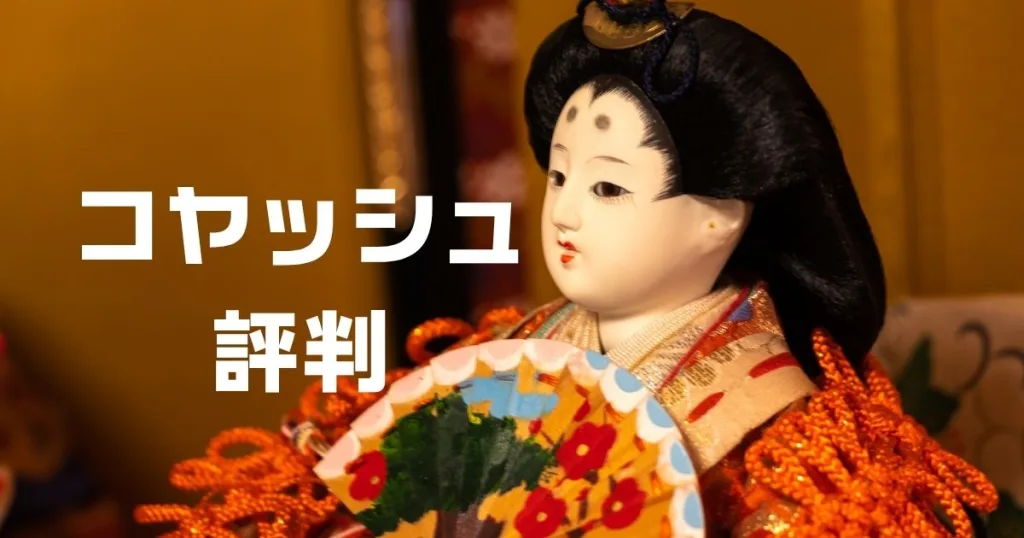 コヤッシュ評判